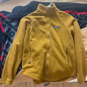Patagonia microdini